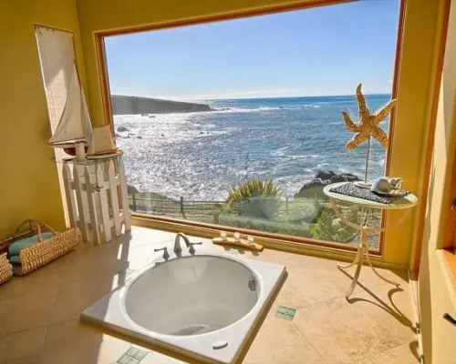 bathroom view with clean windows